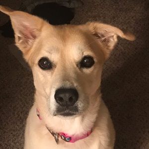 Meet your Posher, Shannon